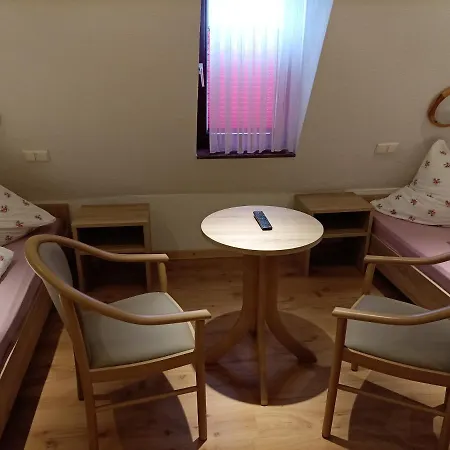 Hotel An der Karlstadt-3